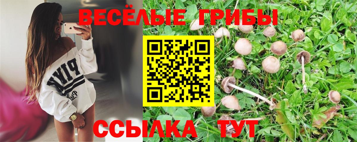 цена наркотик  Псилоцибиновые грибы мицелий  Вход с VPN  Рославль 